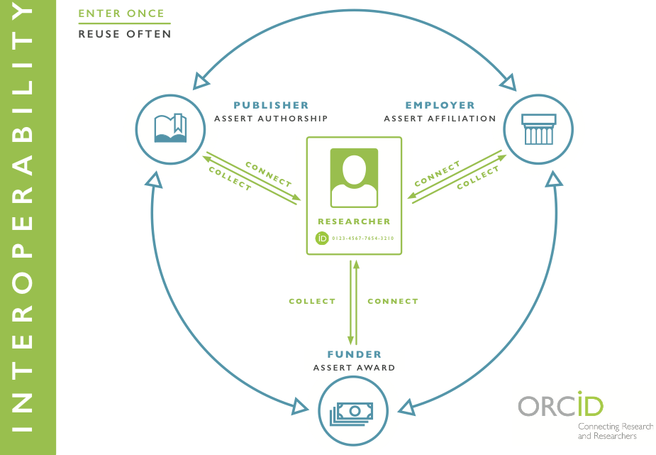 Showing enter once reuse often mechanics of ORCID. Researcher in the center. Connect and collect arrows going out three ways to, publisher assert authorship. employer assert affiliation. funder assert award. with arrows connecting all in a circle labeled interoperability