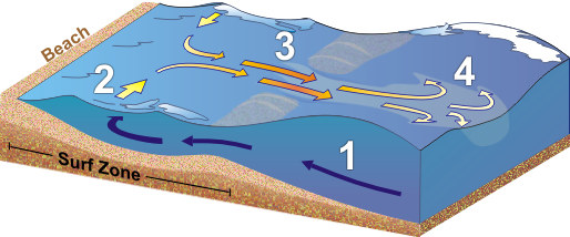 Anatomy of the Rip Current.