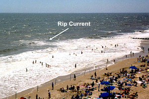 Look for a line of foam, seaweed, or debris moving seaward.