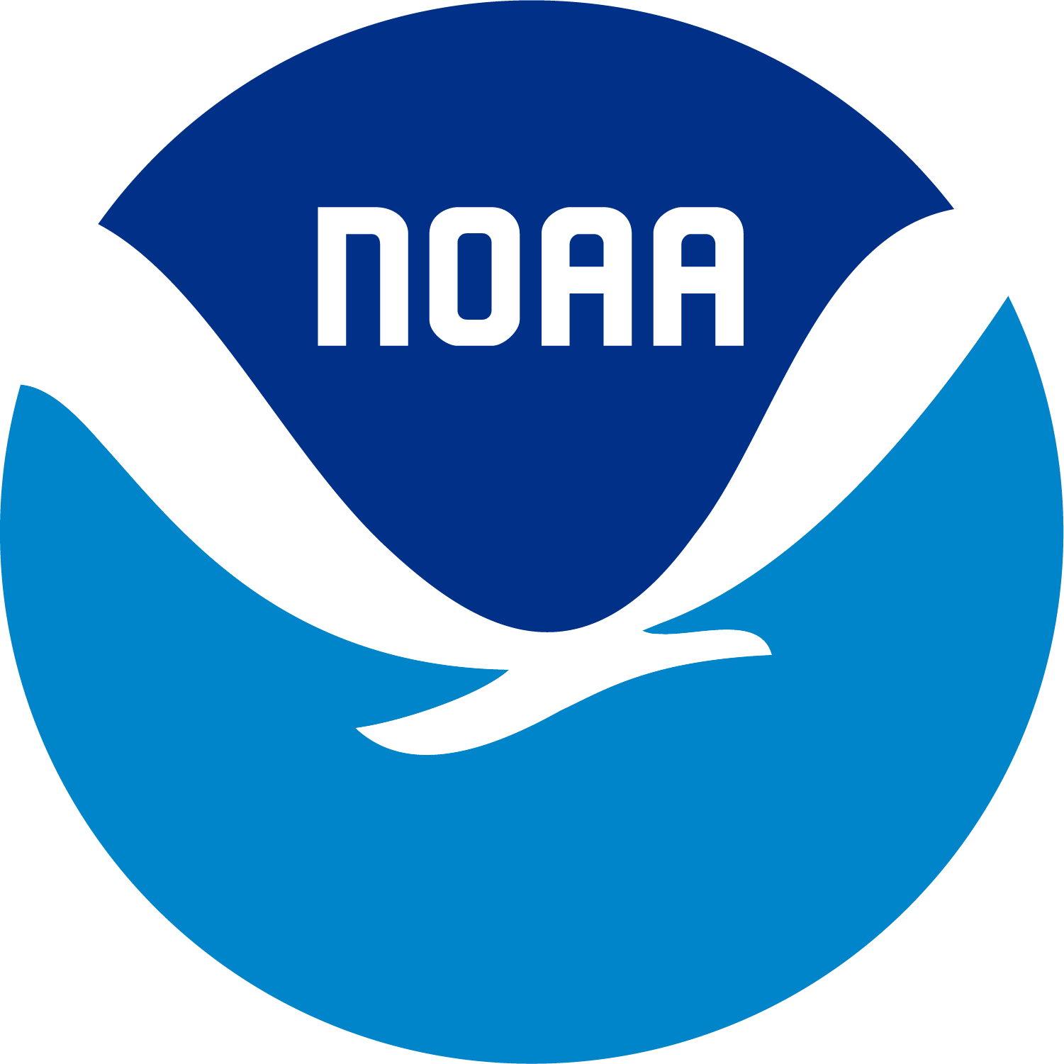 NOAA digital logo