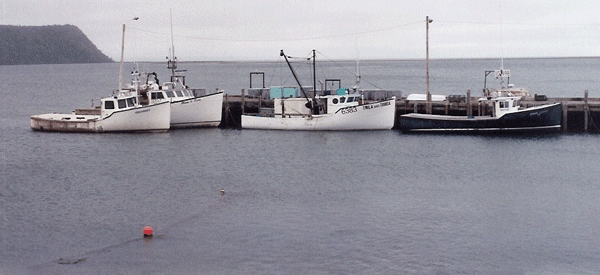  high and low tides in the Bay of Fundy. 
