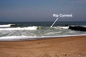  Institute of Technology