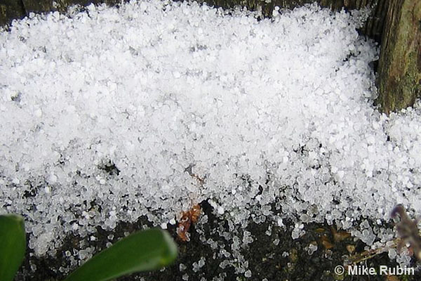 Snow Grains
