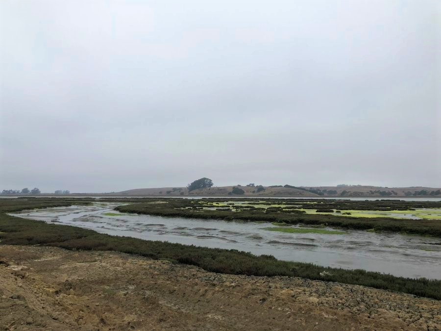 A shallow creek winds through a flat, open area.