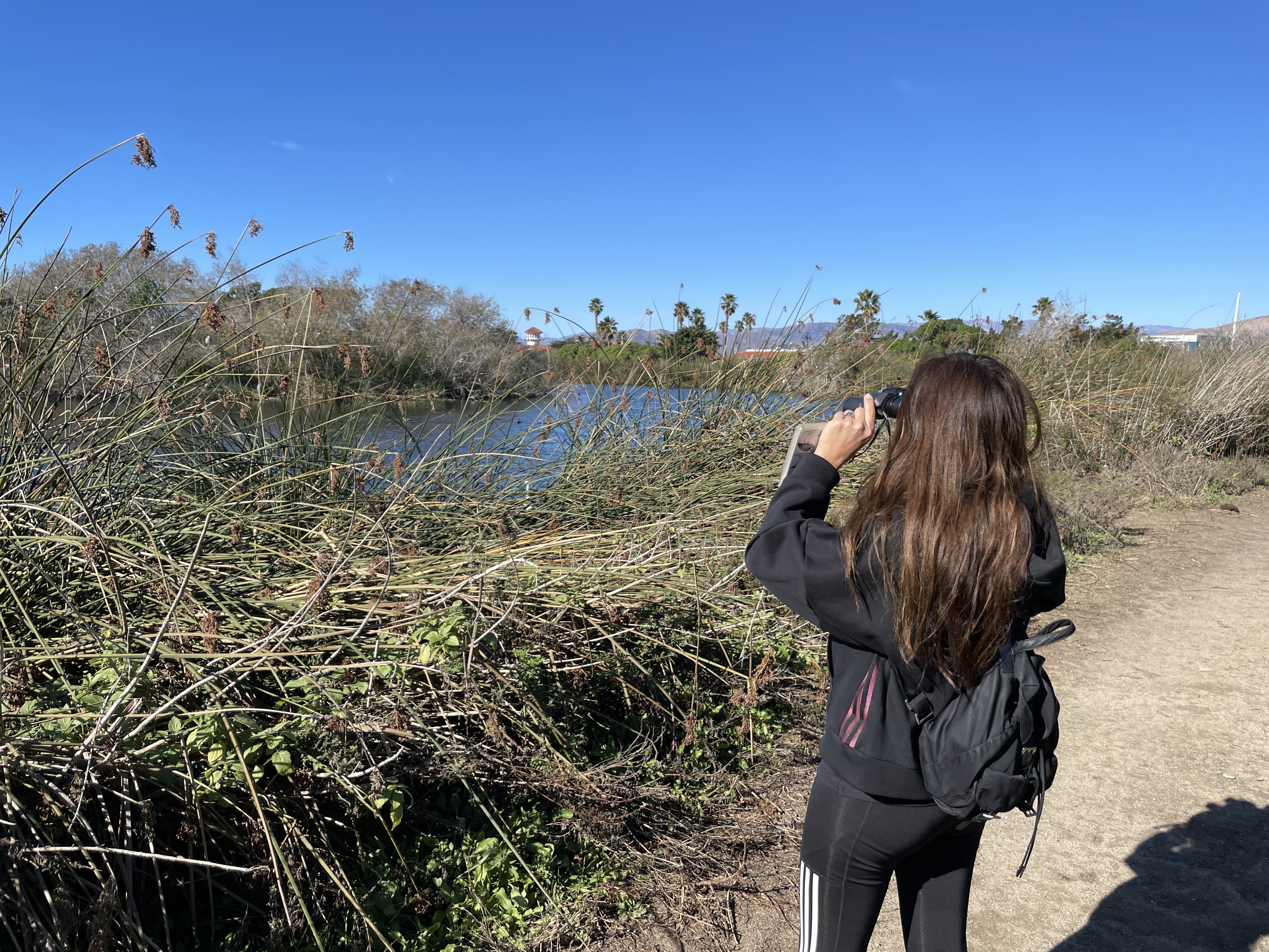A student looks through binoculars at a body of water with greenery surrounding the area.