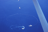 A tuna seiner circling a school of tuna