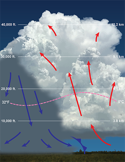 An illustration of mature Cumulonimbus.