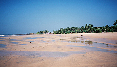 A beach drained of water signaled 
