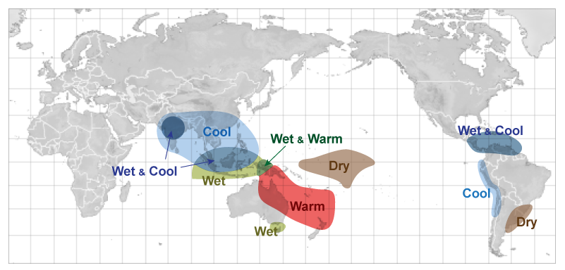 La Niña effects during June through August