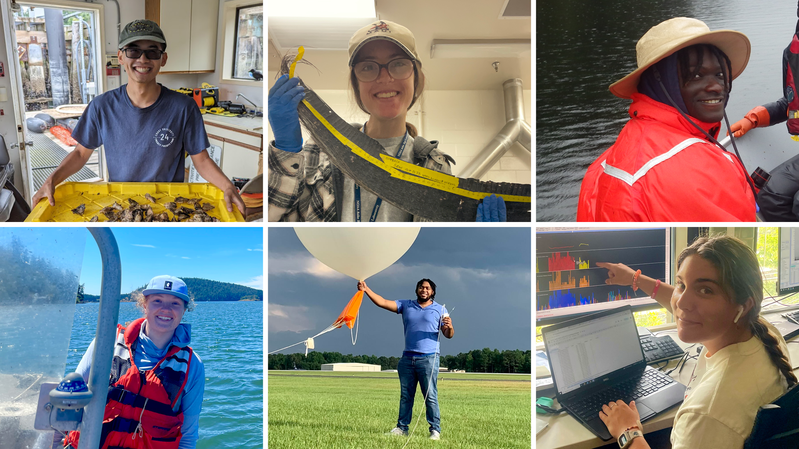 A grid of photos showing scholars doing a variety of activities, including: holding a tray of sampled oysters in a lab, holding a plate of whale baleen, on a boat, holding a weather balloon, and at a computer displaying audio data.