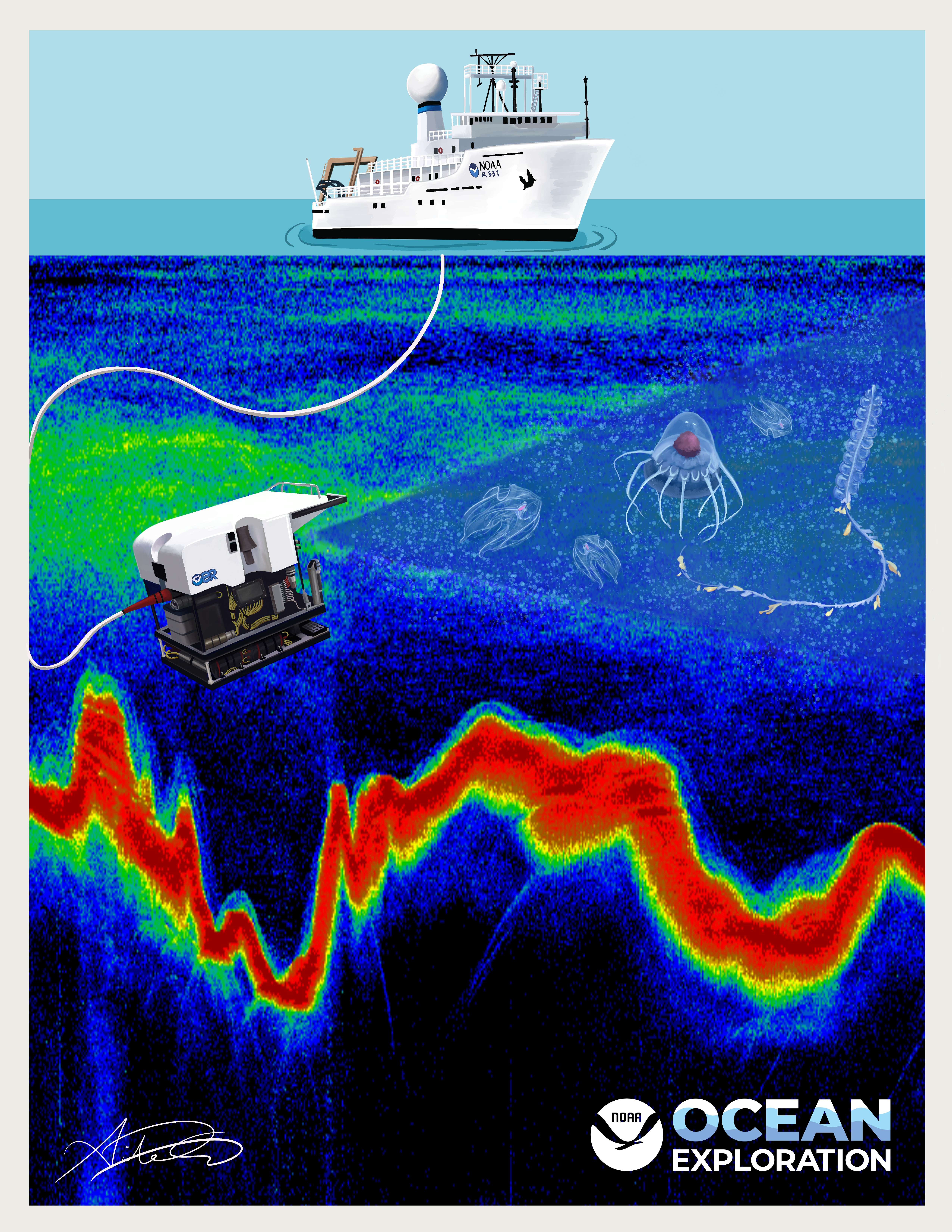 A digitally illustrated poster that shows a water column represented as visually noisy acoustic data. On top of the water, a NOAA vessel rests in the water. The deep scattering layer is drawn about a third of the way down the water column. Towards the bottom of the poster, the backscattering response implies sea floor bathymetry that varies in depth. An ROV located in the deep scattering layer is connected by a wire to the NOAA vessel. Gelatinous marine organisms are drawn in the ROV's line of sight.