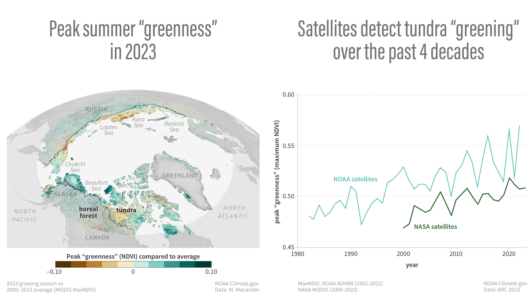 Image showing (map) Peak summer "greenness"— a satellite measure of the amount and health of vegetation — was higher than average across the tundra in summer 2023, with especially high values (darkest green) in the North American Arctic. (graph) The peak "greenness" reached each summer in the tundra has increased over time. 