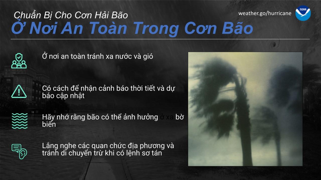 Ở Nơi An Toàn Trong Cơn Bão