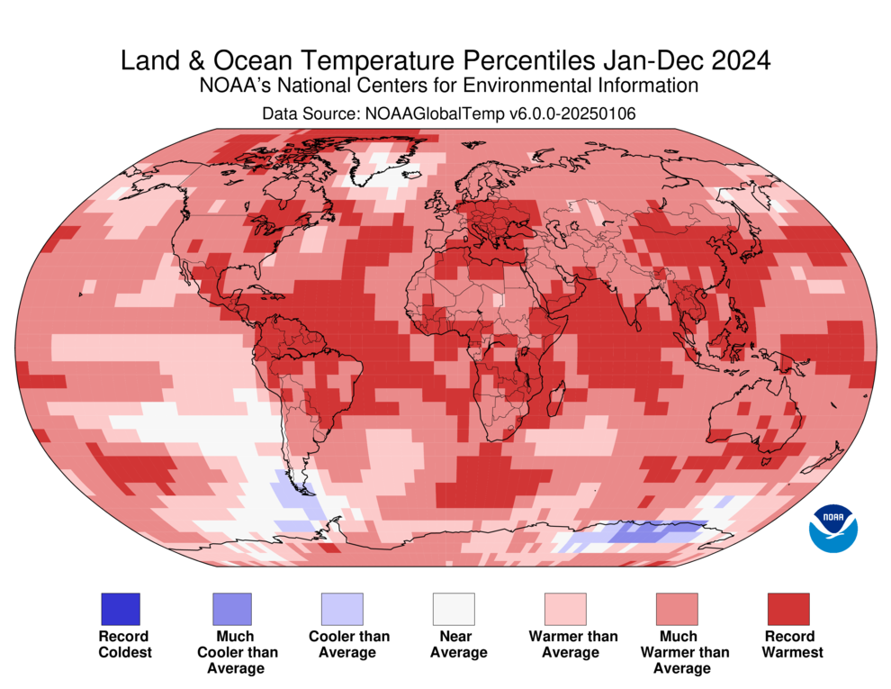 A world map plotted with color blocks depicting percentiles of global average land and ocean temperatures for the full year 2024. Color blocks depict increasing warmth, from dark blue (record-coldest area) to dark red (record-warmest area) and spanning areas in between that were "much cooler than average" through "much warmer than average."