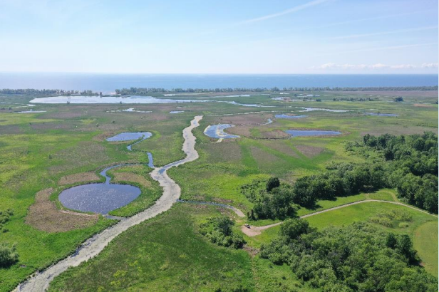 Lakeview Wildlife Management Area