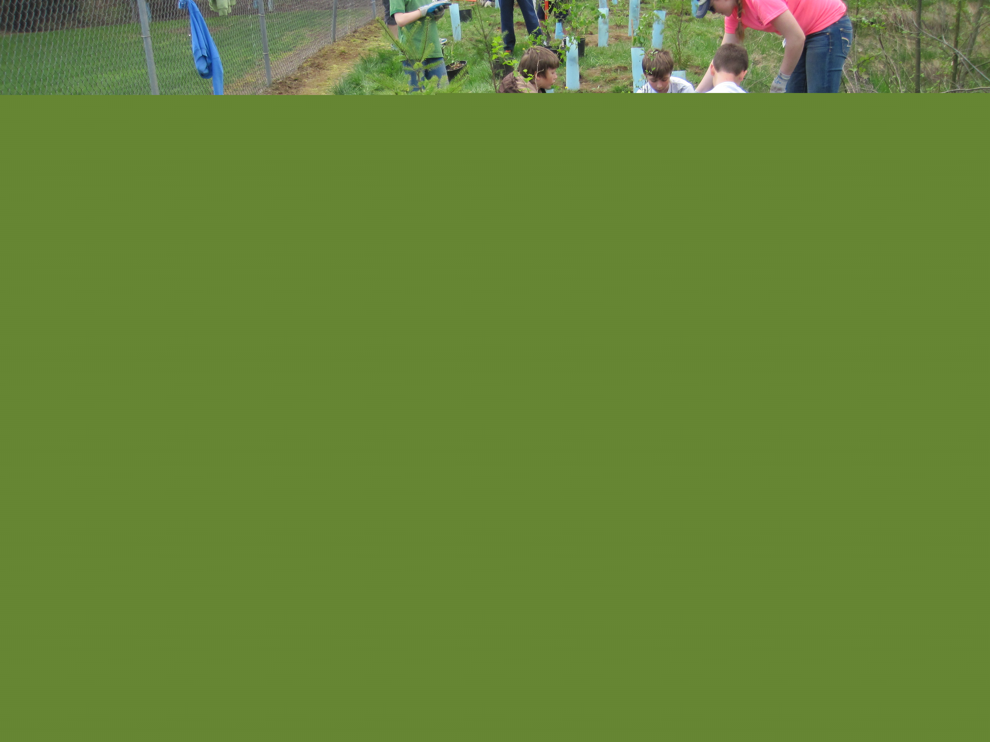 2 students planting trees with an adult during a restoration field trip