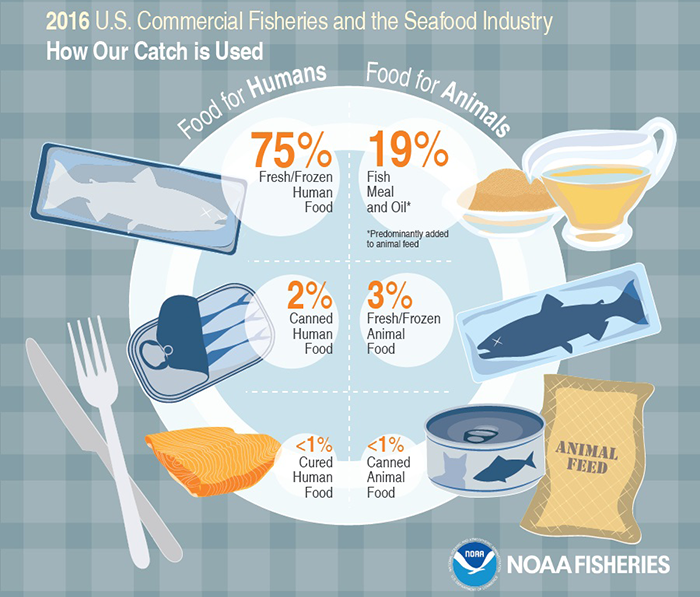 How our catch is used.
