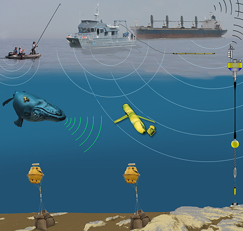 Limited data on long-term trends indicates a 10-decibel increase in low-frequency sound levels off the West Coast from about the mid-1960s through the early 2000s. 