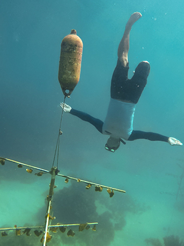 Nate Quinn of Force Blue checks a coral nursery off the coast of Fajardo, Puerto Rico.