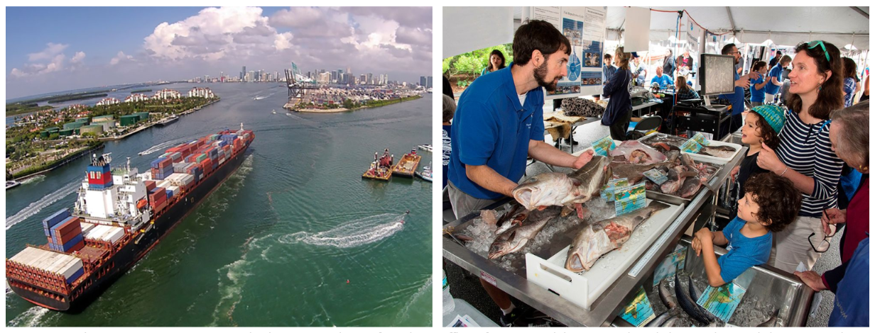 NOAA strengthens America’s economy on many levels. PORTS® makes it safer and more efficient for super-sized ships coming through the recently expanded Panama Canal to enter Miami’s seaport. Effectively ending overfishing and rebuilding stocks boosts the value of the U.S.'s $212 billion fisheries industry. 