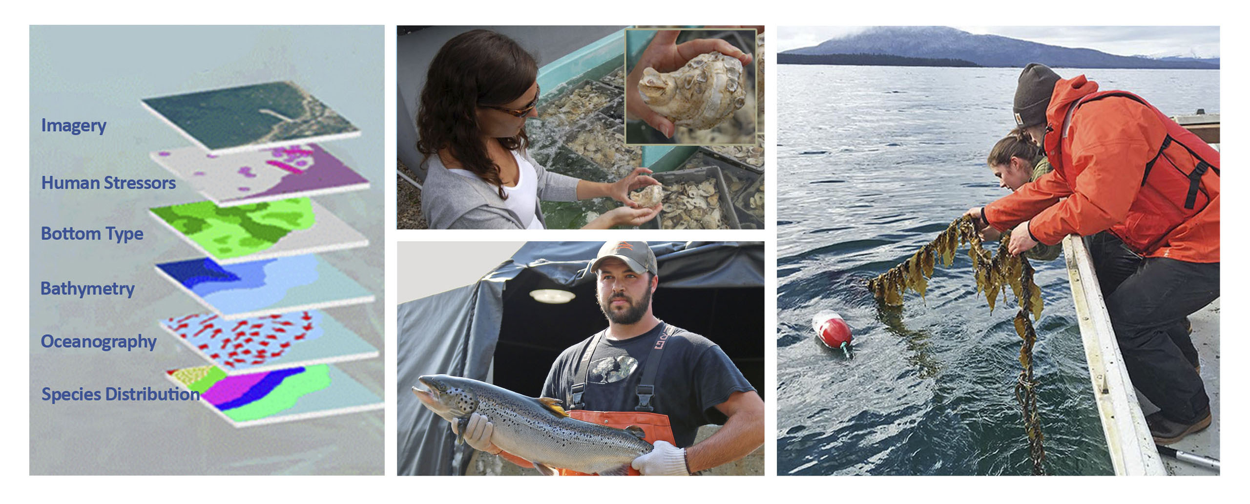 Examples of aquaculture growers.