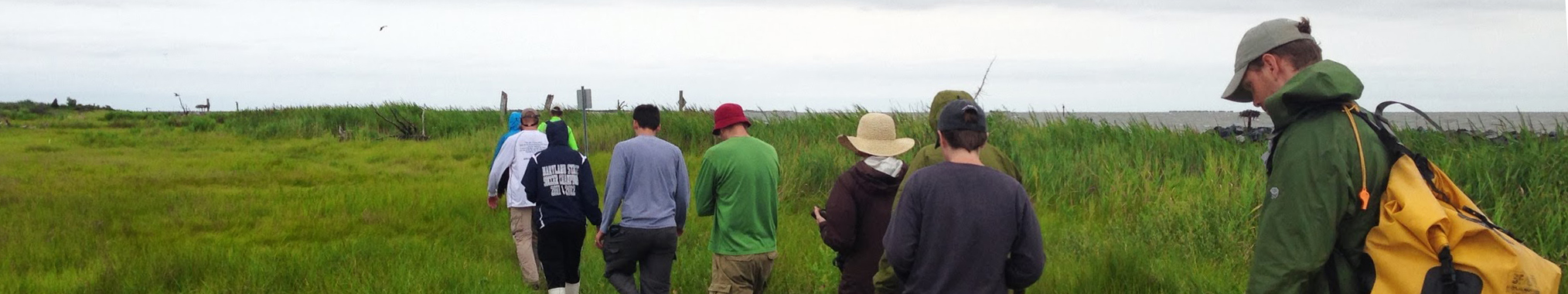 Maryland Environmental Literacy Partnership summer institute participants in the field.