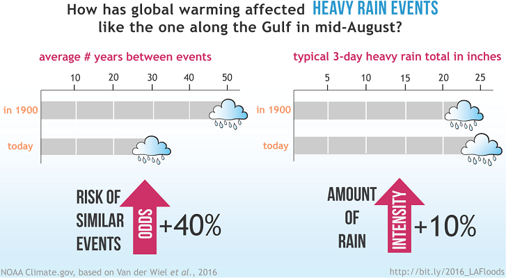 Models indicate that the return period* for extreme rain events of the magnitude of the mid-August downpour in Louisiana has decreased from an average of 50 years to 30 years. A typical 30-year event in 1900 would have had 10% less rain than a similar event today, for example, 23 inches instead of 25.  *Return intervals are statistical averages over long periods of time, which means that it’s possible to have more than one “30-year event” in a 30-year period. 