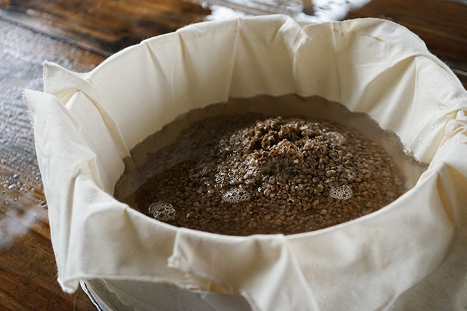 Oyster seed, also known as spat.