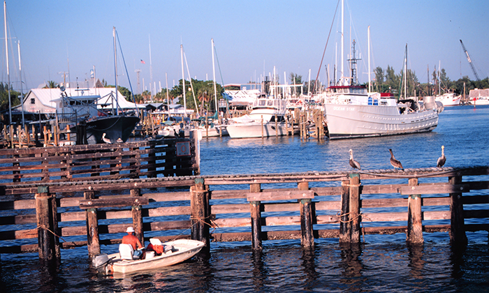 Recreational fishing is an important part of the U.S. economy and an enjoyable pastime for many anglers. 