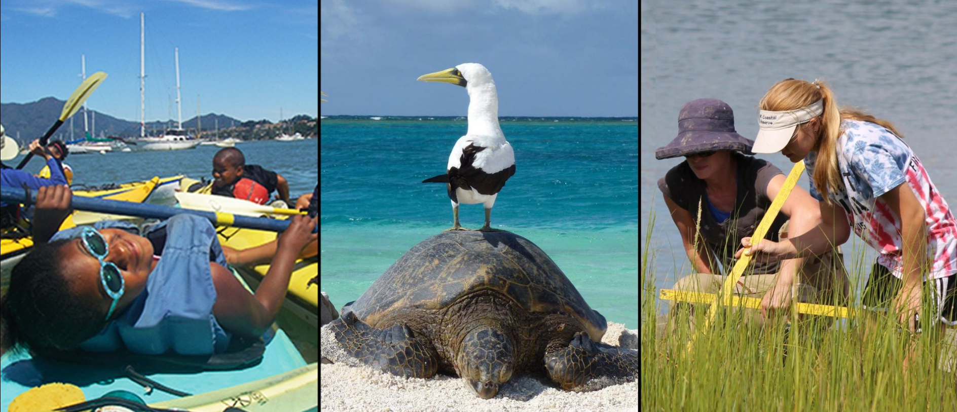 Images from three NOAA Marine Protected Areas: the Greater Farallones National Marine Sanctuary near San Francisco, Papahānaumokuākea Marine National Monument in Hawaii and a National Estuarine Research Reserve in North Carolina.