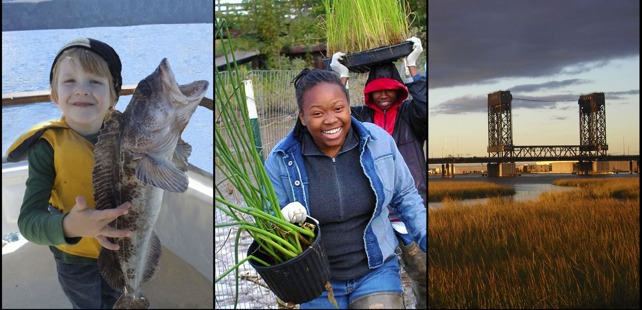 Image showing fisheries, habitat restoration and coastal ecosystems.