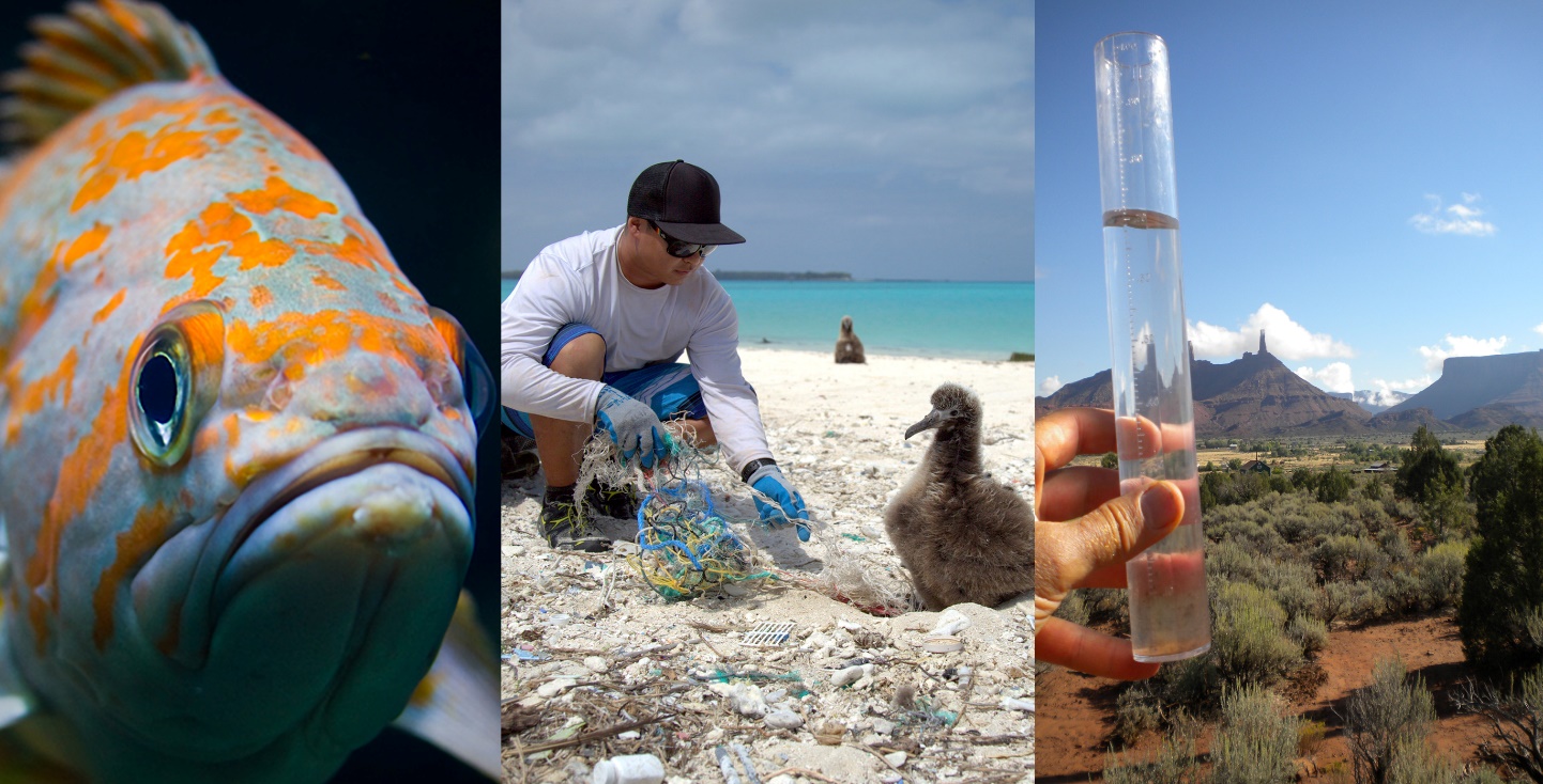 Collage showing rockfish in the Northwest’s Puget Sound region, marine debris collection in Hawaii and CoCoRaHS volunteer measuring precipitation.