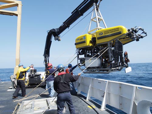 The Hercules ROV is lowered over the side of the NOAA Ship Ronald H. Brown on May 30, 2004.