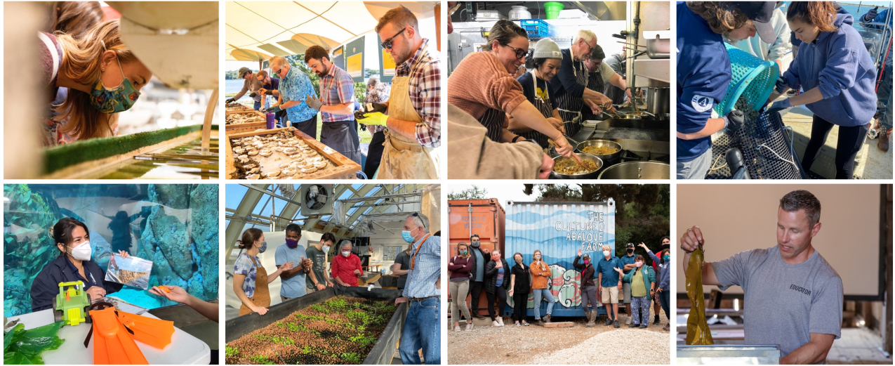 A collage of photos each showing an activity from the eeBLUE aquaculture literacy mini-grants. Activities shown range from observing and tending to oysters to cooking seafood and talking with teachers