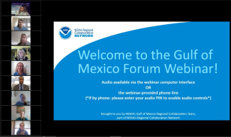 Gulf webinar screenshot