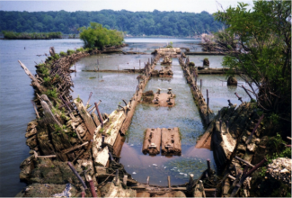 A vessel at low tide, showing the frame of its hull, in the Mallows Bay-Potomac River National Marine Sanctuary in Maryland. 