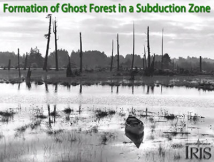 To learn more about evidence for Cascadia's past earthquakes