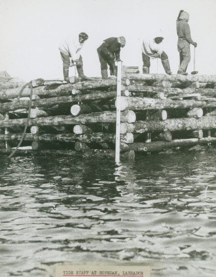 Black and white photo of men installing tide staff during MacMillan Arctic Expedition on Schooner Bowdoin, 1925. For men stand on a rough pier, while one lowers a tide staff marked with measurements into the water.
