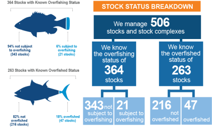 Status of the Stocks 2023 Overview.