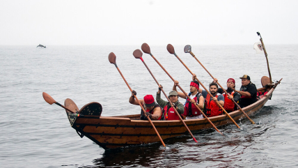 Members of the Chumash community paddle a traditional redwood plank canoe, called a tomol. The Channel Islands are a sacred place in Chumash culture and each year members of the community cross from the California mainland to the islands.