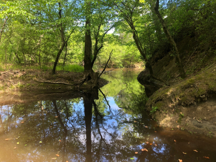 The Mattaponi River, the tribe's namesake, runs through the culturally and ecologically significant land. 