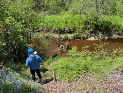 Students learn about stream health