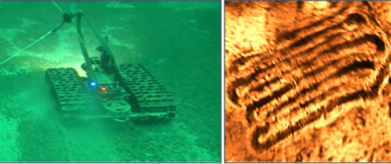 Tracked Remote Operated Vehicle