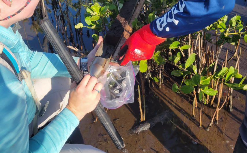 Jonah and Marissa stand in a marshy area and look at a soil core with a meter stick held up to it. Jonah holds a knife as though he is preparing to remove the core from the corer and put it into a labeled Ziploc bag held by Marissa.