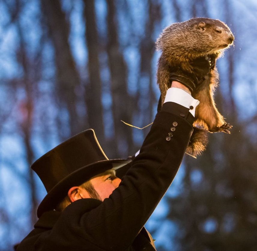 Punxsutawney Phil being held by a member of the Inner Circle on February 2, 2018.