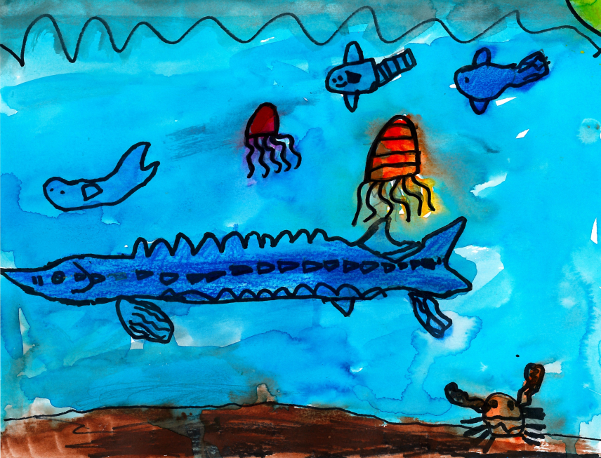 Rowan M., Grade 1. Marine Endangered Species Art Contest 2018.