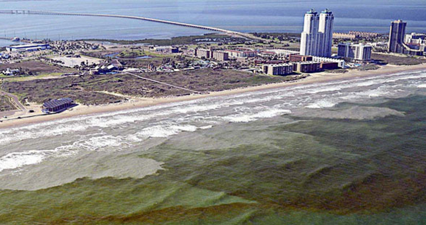 NOAA currently uses a combination of satellite imagery and water samples of the algae species Karenia brevis collected from the field by local partners, to forecast the location and intensity of red tide events. The conditions report for red tide in Florida and Texas are available to the public and gives respiratory irritation forecasts by coastal region.