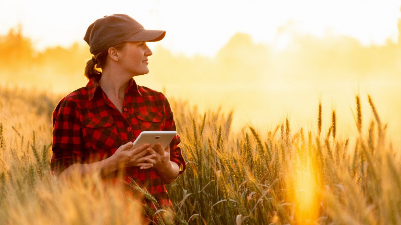 BASF Digital Farming