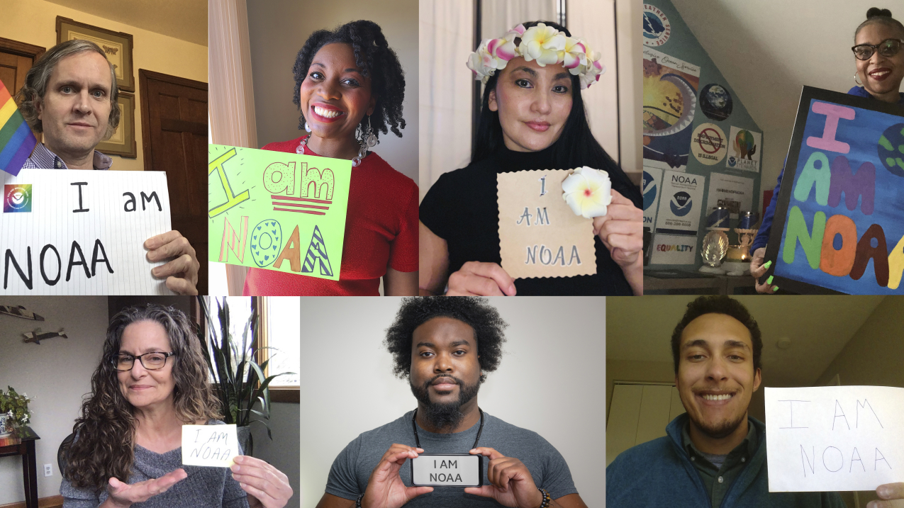 A collage of NOAA employees holding hand-made signs that say, "I am NOAA." 