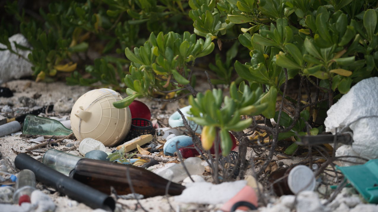 Underwater ocean plants are surrounded by trash and debris including bottles, pieces of plastic such as fishing bobs that lay amongst rocks and pebbles. 